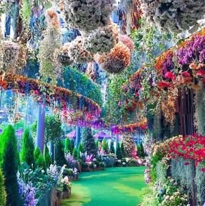 Meet your Posher, Gregorio